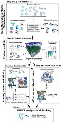 Perspectives on High-Throughput Ligand/Protein Docking With Martini MD Simulations